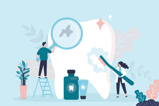 Best Dental Exams and Cleanings  in Rainbow Lakes Estates, FL